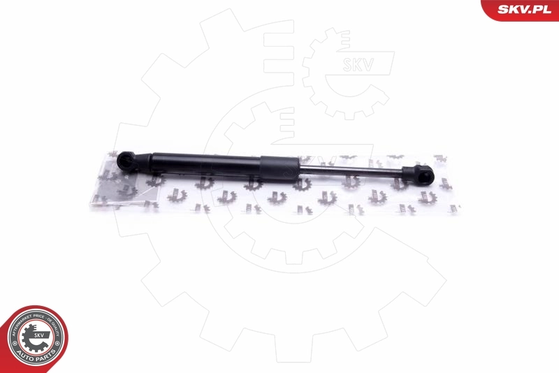 Gas Spring, boot/cargo area